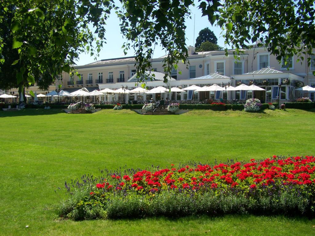Phyllis Court Members Club Ξενοδοχείο Χένλεϊ ον Τέιμς Εξωτερικό φωτογραφία